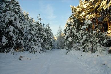 2025年首周Steam销量榜出炉 《流放之路2》登顶